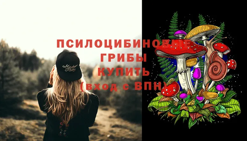 Галлюциногенные грибы Psilocybine cubensis  Ульяновск 