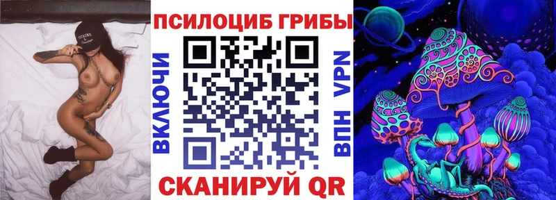 Галлюциногенные грибы Psilocybe  Ульяновск 