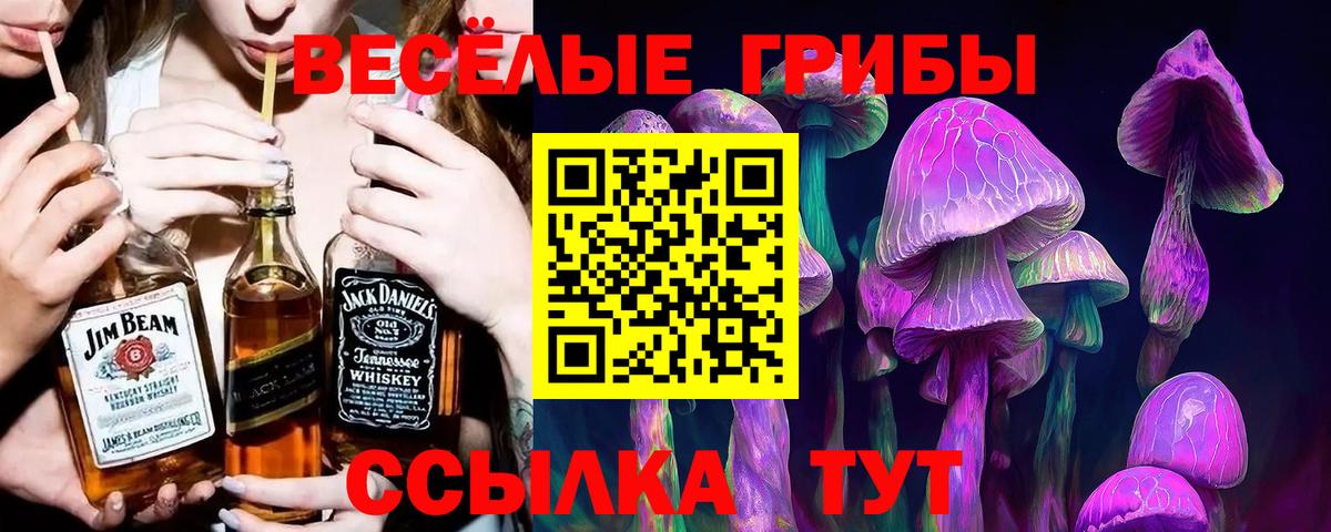 Галлюциногенные грибы Magic Shrooms Ульяновск