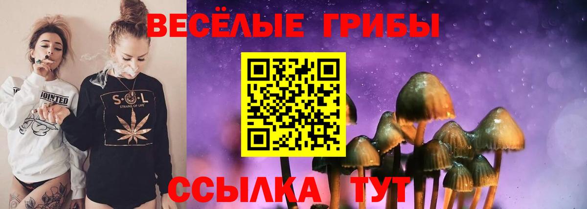 Ульяновск  Псилоцибиновые грибы ЛСД  Вход с VPN  Псилоцибиновые грибы Psilocybe 